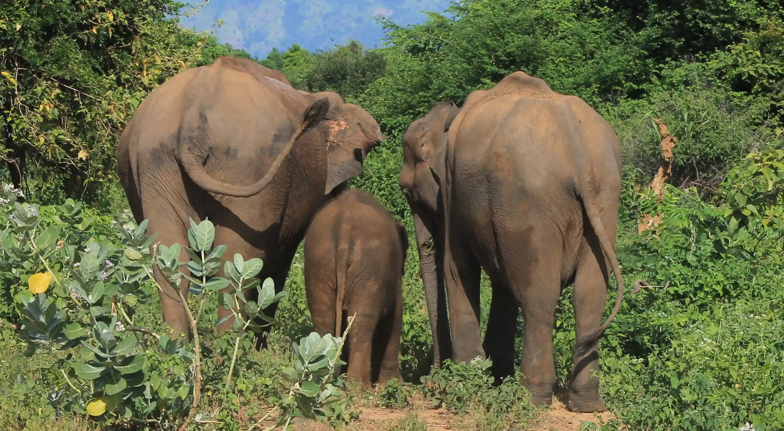 Sandamali with her son and daughter